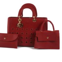 Christian Dior Paris Red Ladies Hand Bag ( 3 Pcs )